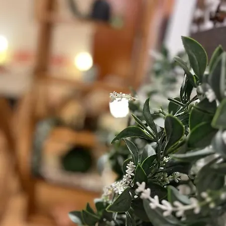 Lägenhet Bike With Parking