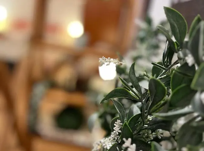 Διαμέρισμα Suite Bike With Parking